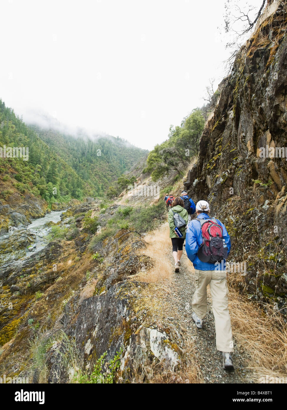Group of hikers hiking on trail Stock Photo Alamy