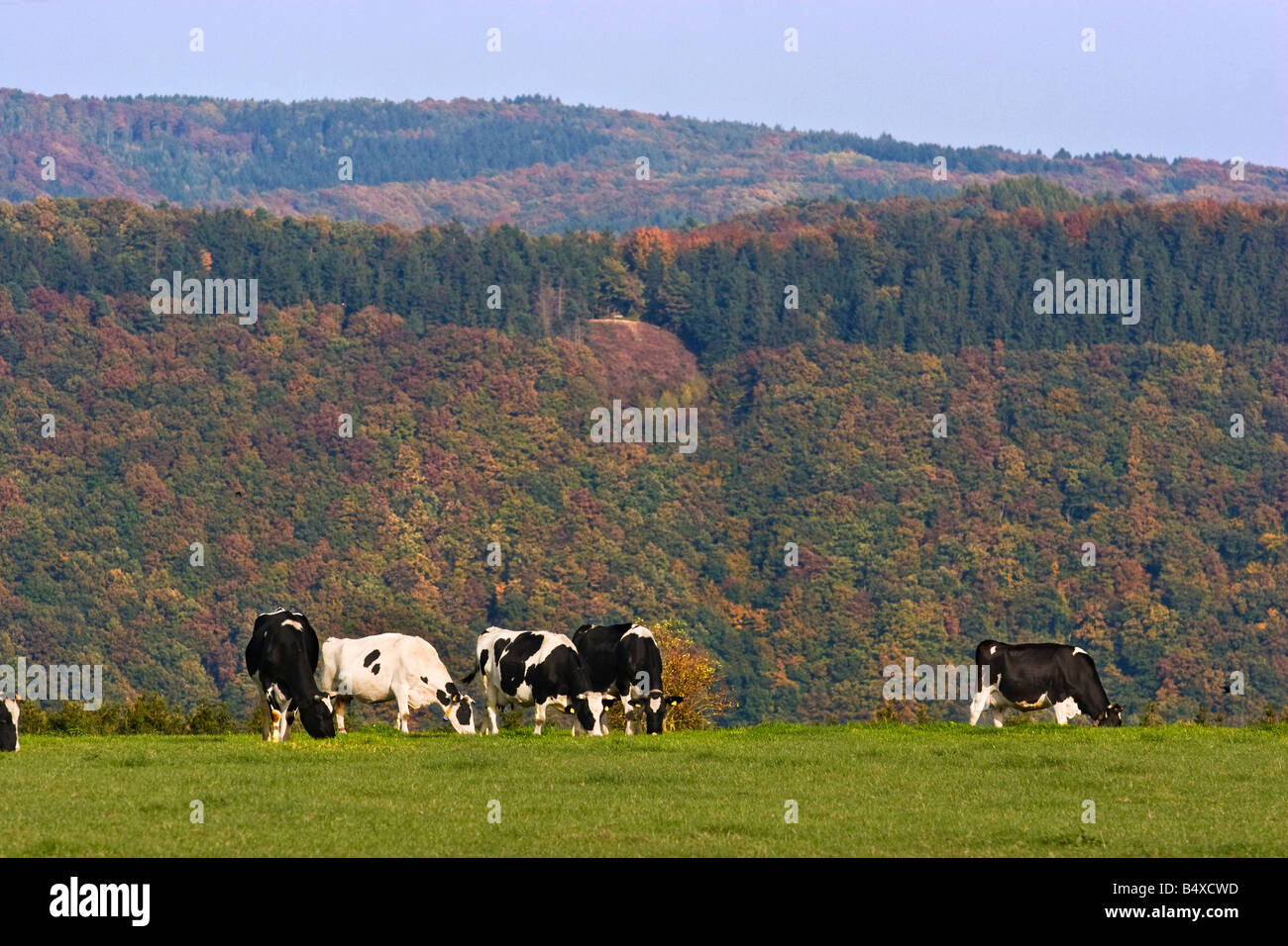 Rural german landscape hires stock photography and images Alamy