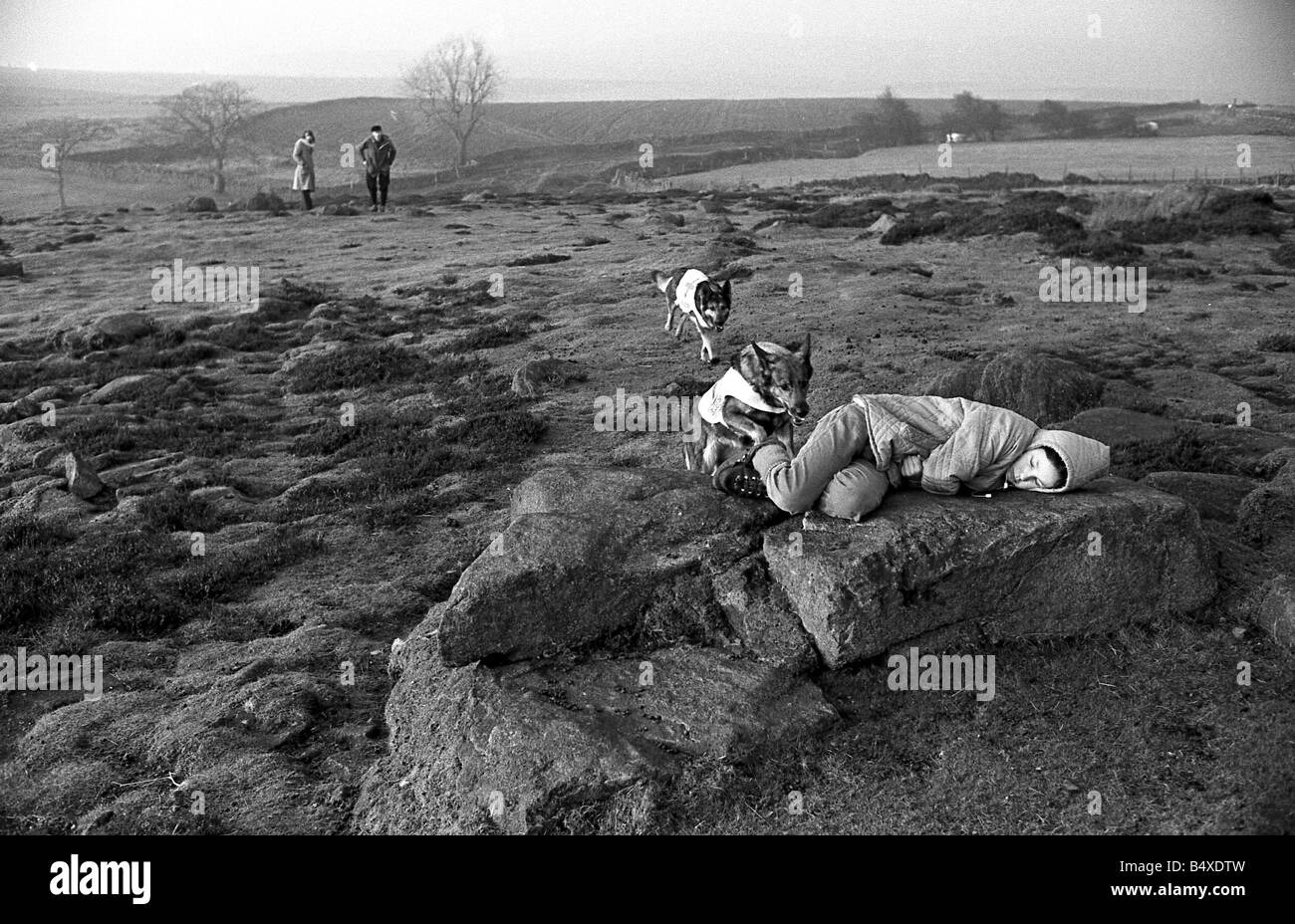 Mountain Rescue Dogs Two Of The Cumbrian Mountain Rescue Dogs Seen mountain-rescue-dogs-two-of-the-cumbrian-mountain-rescue-dogs-seen