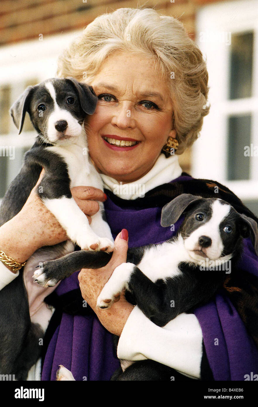 Katie Boyle with Two new arrivals at the RSPCA centre at Sandridge