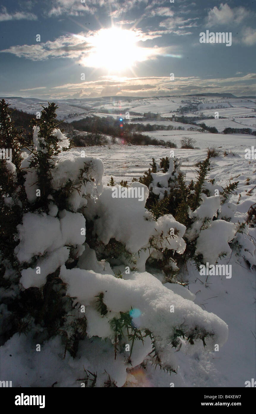 A winter weather scene at Edlingham Northumberland Stock Photo Alamy