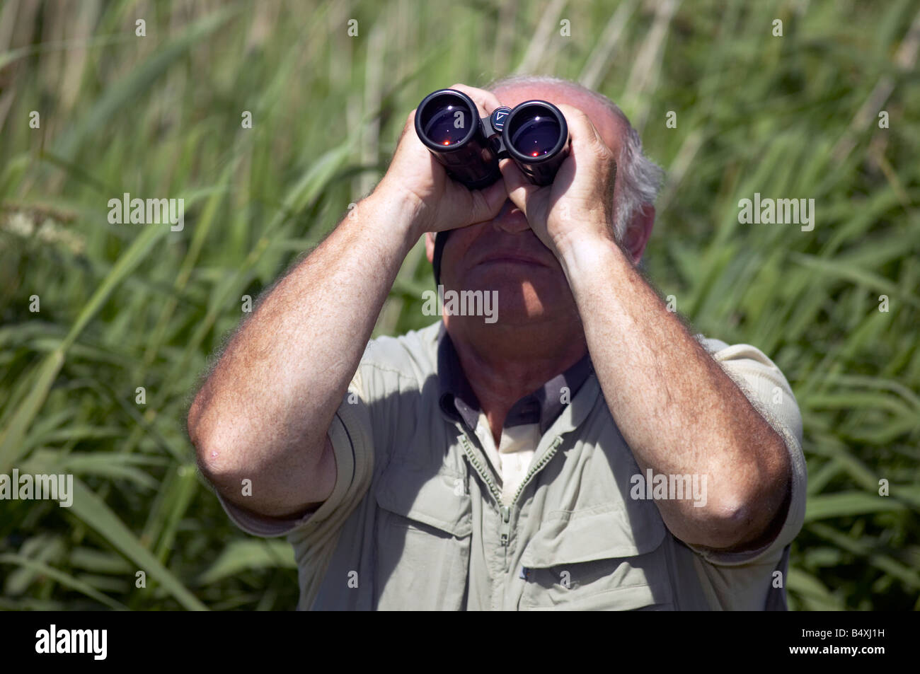 Birdwatcher optics hi-res stock photography and images - Alamy