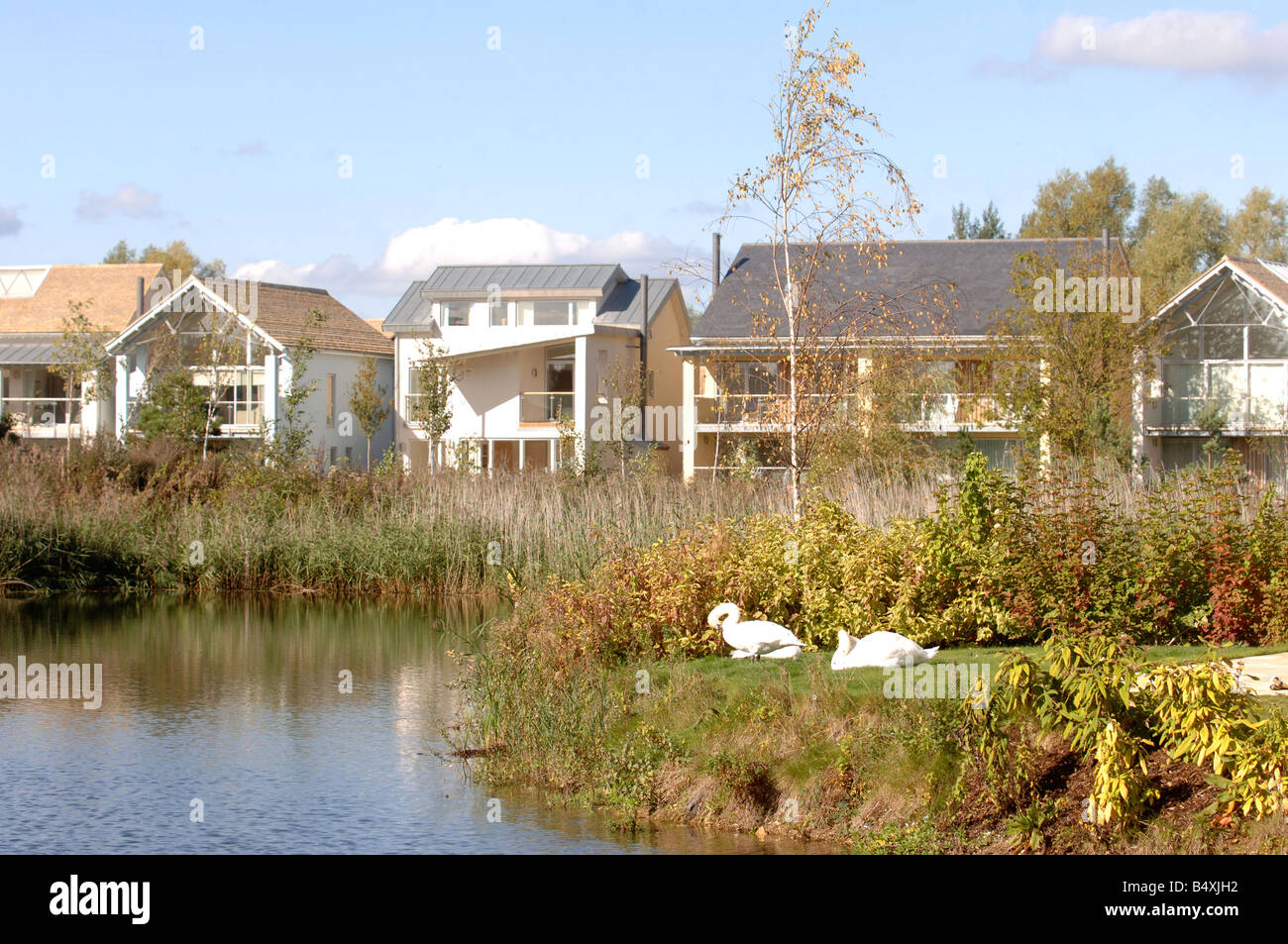 A LAKE WITH SWANS AT THE LOWER MILL ESTATE NEAR CIRENCESTER