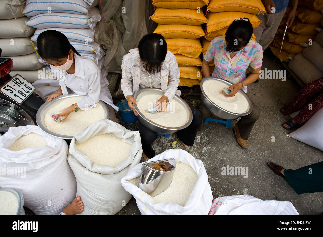 Workers sorting and cleaning rice grains Stock Photo Alamy