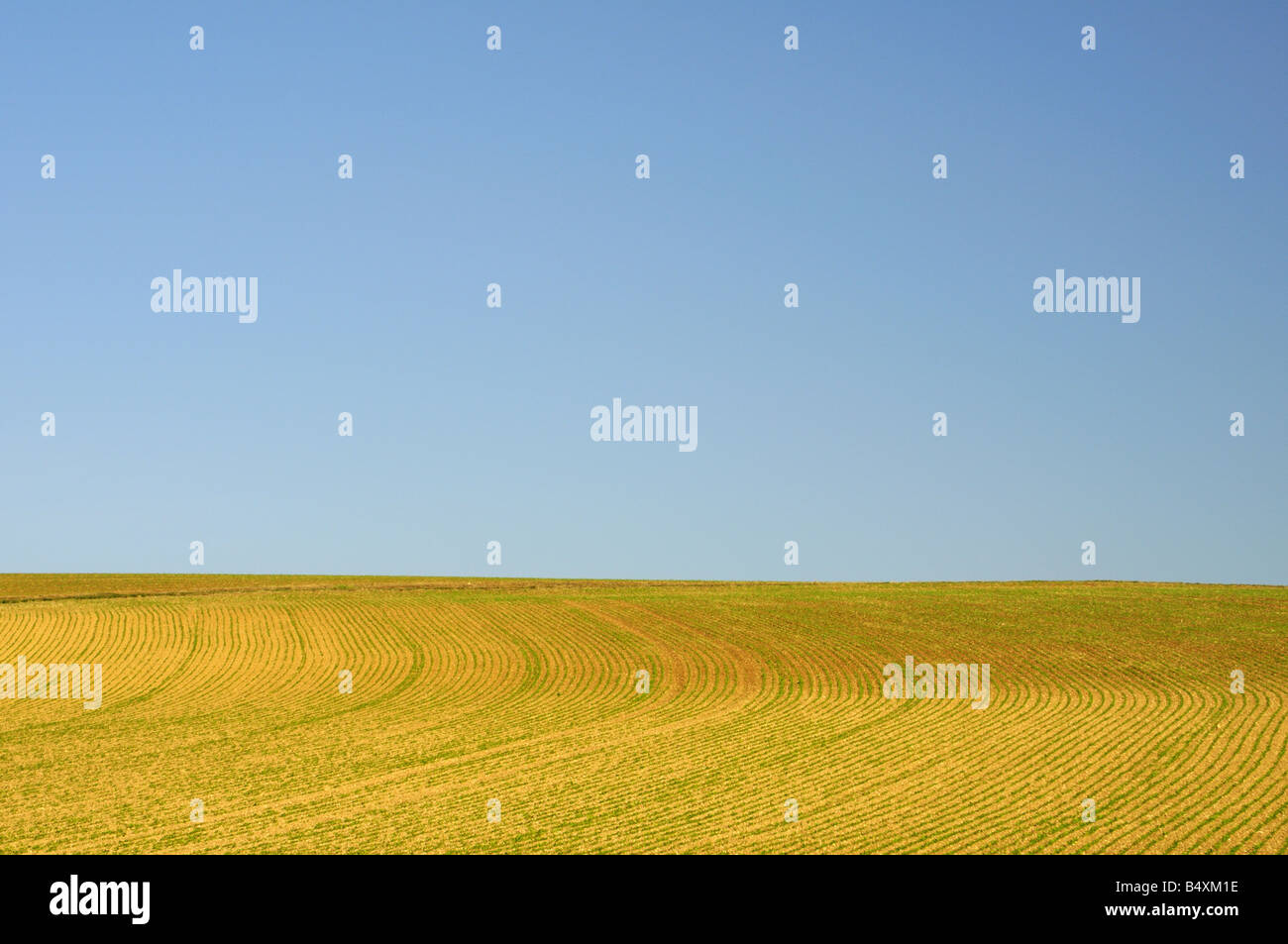 Aube countryside with newly planted fields in September France Stock Photo