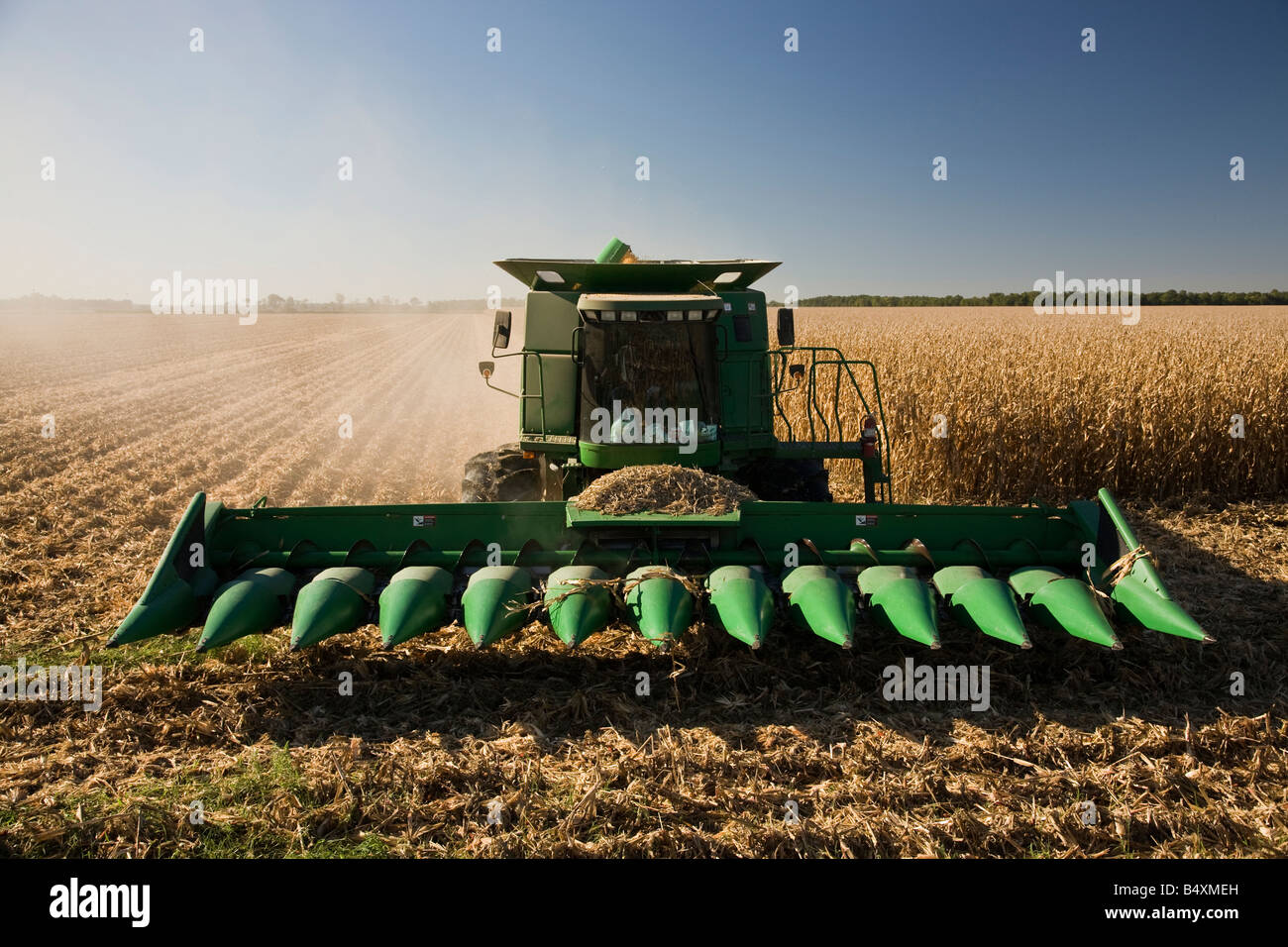Combine tractor harvesting corn in a field in Arkansas Stock Photo