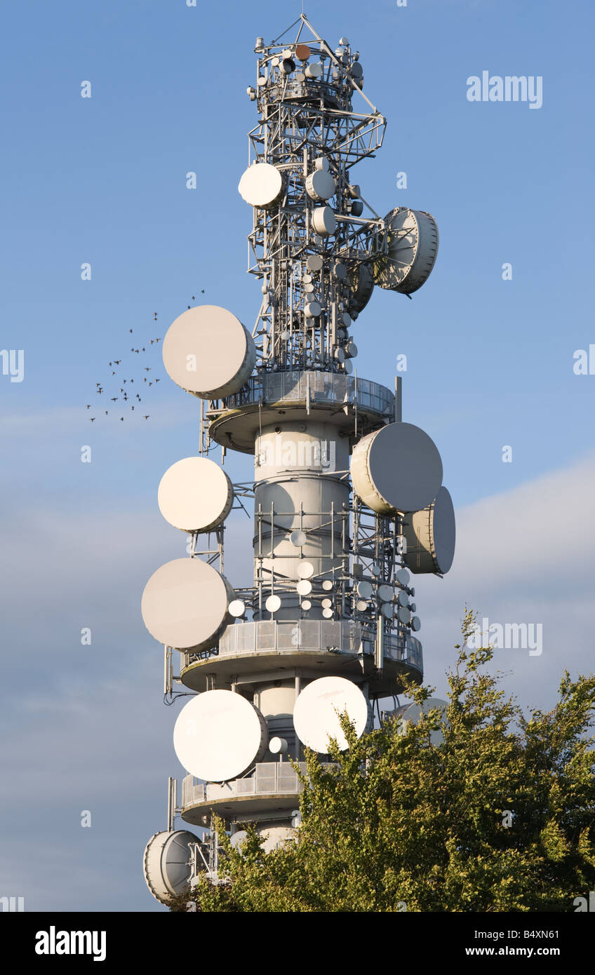 Tinshill (Cookridge) BT Tower with flock of birds. It is a prominent landmark in outer suburb of north-west Leeds West Yorkshire Stock Photo