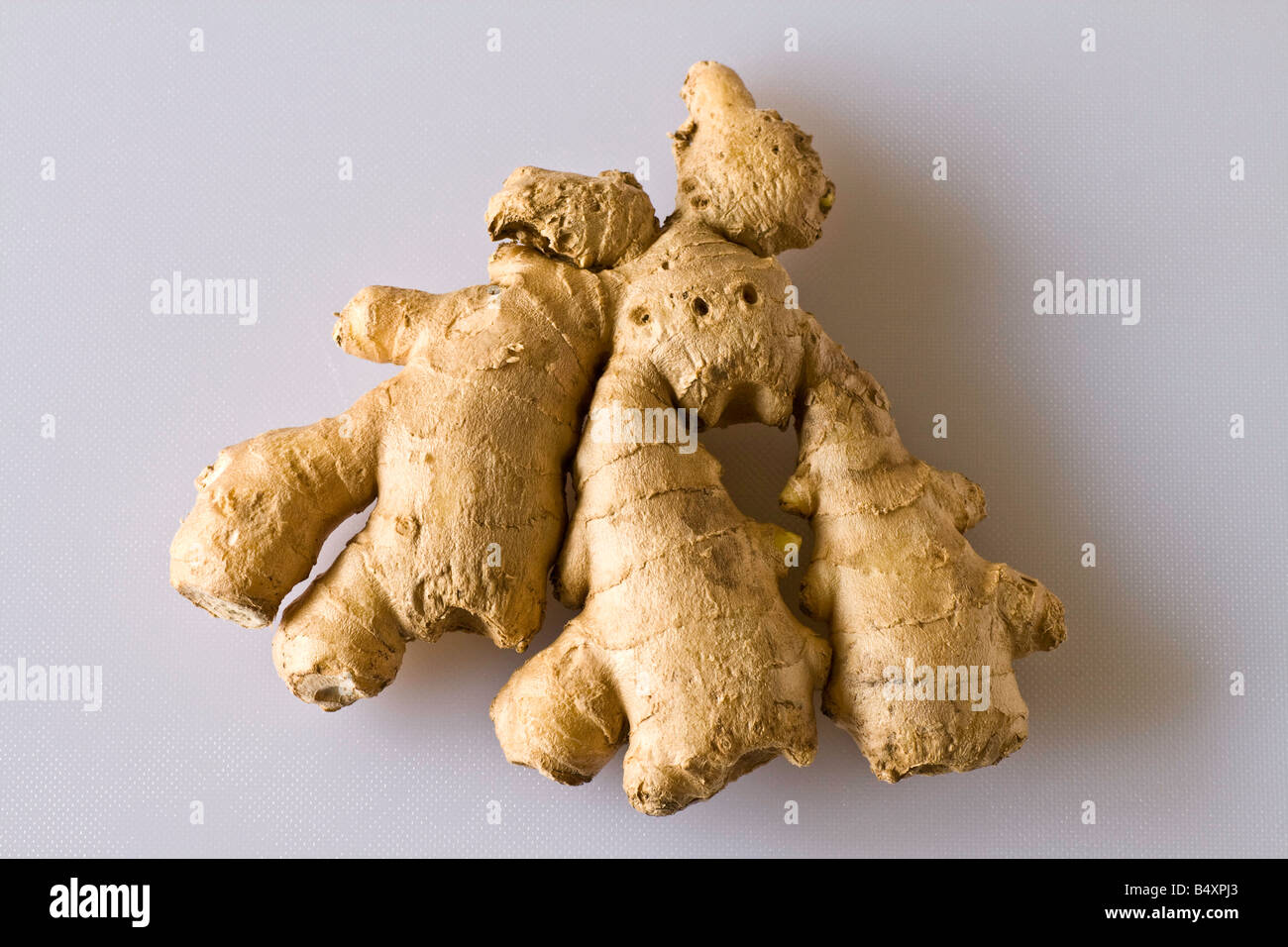 ginger with shadow on a light grey background Stock Photo - Alamy