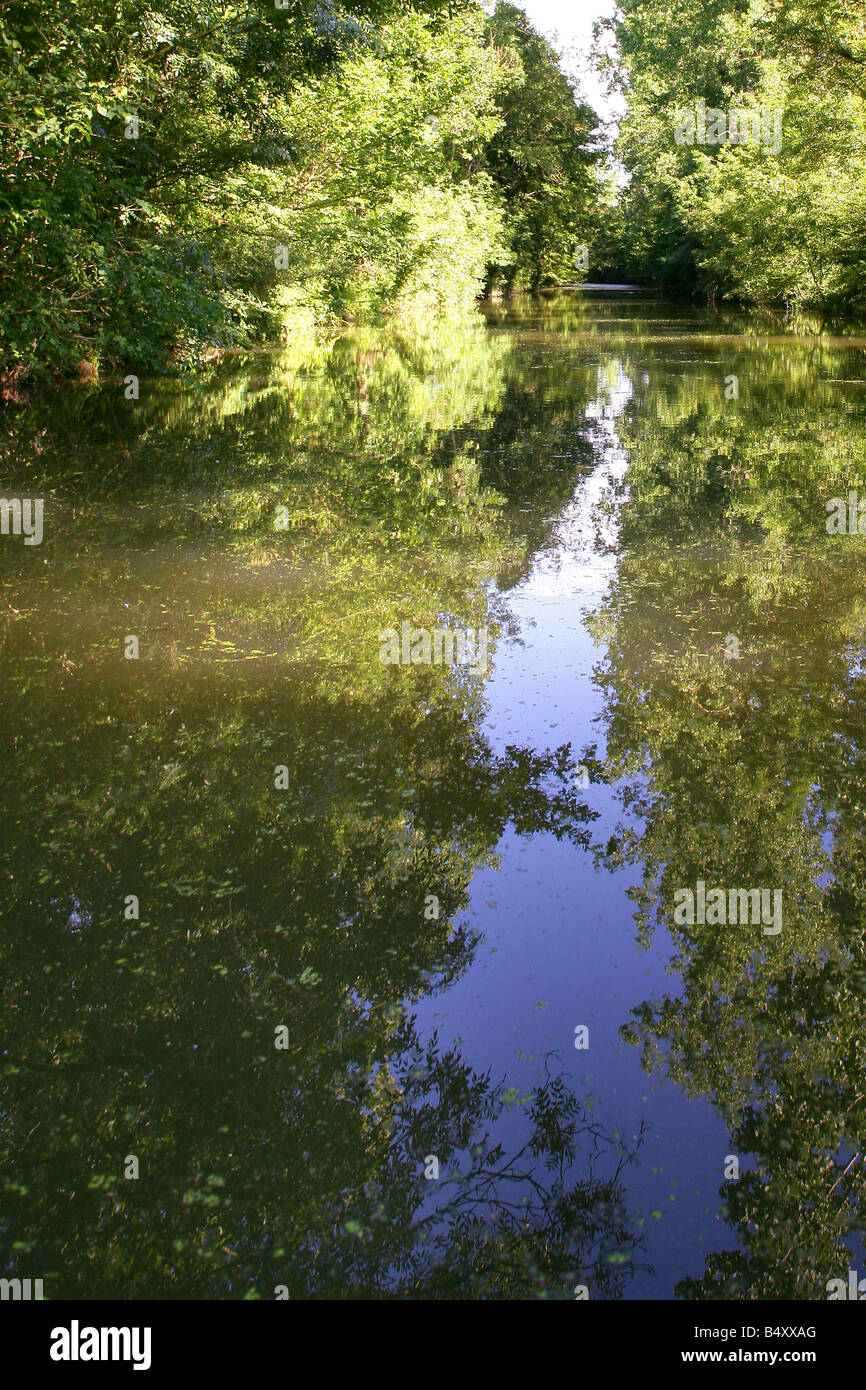 River through forest Stock Photo - Alamy