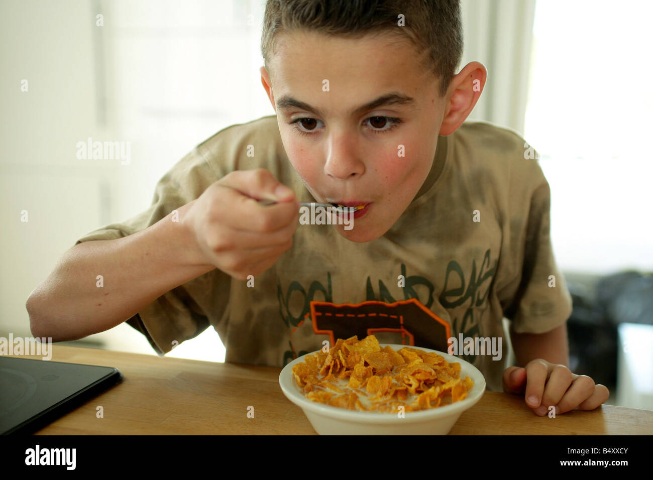 Boy eating corn flakes Stock Photo Alamy