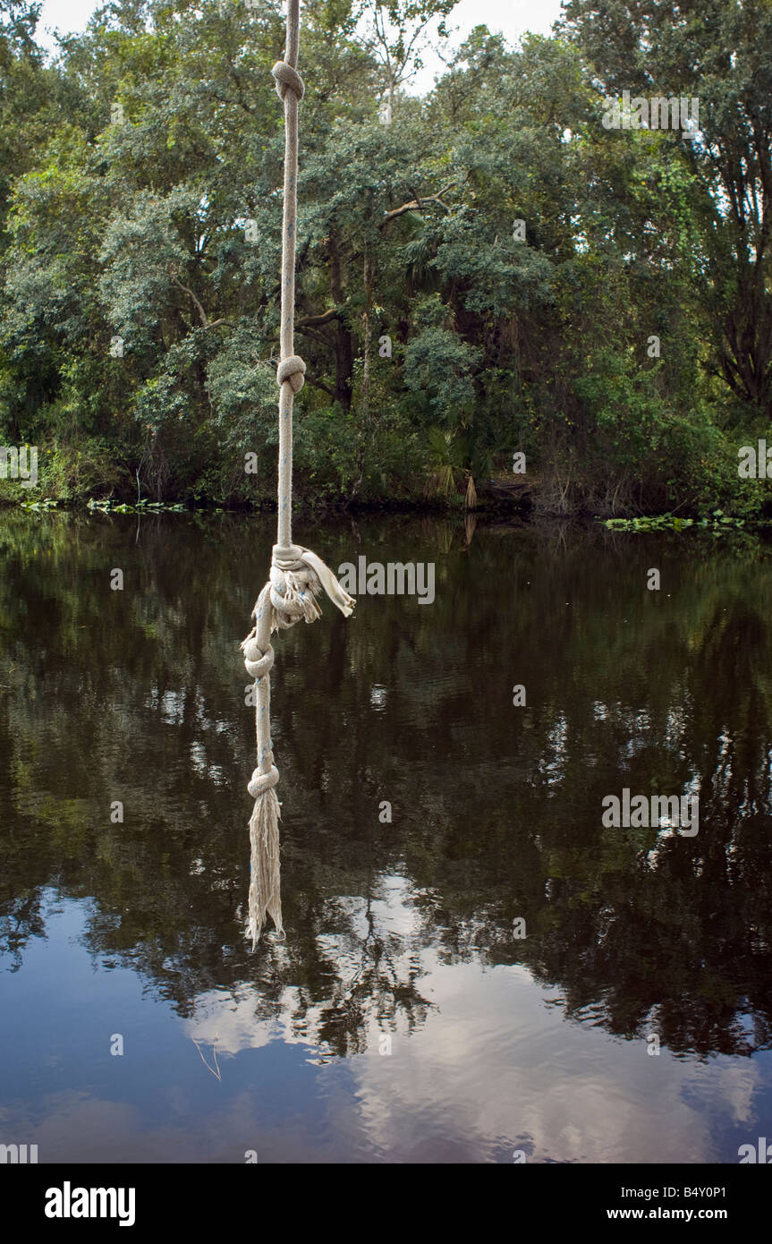 Rope swing hanging from tree over river Stock Photo - Alamy