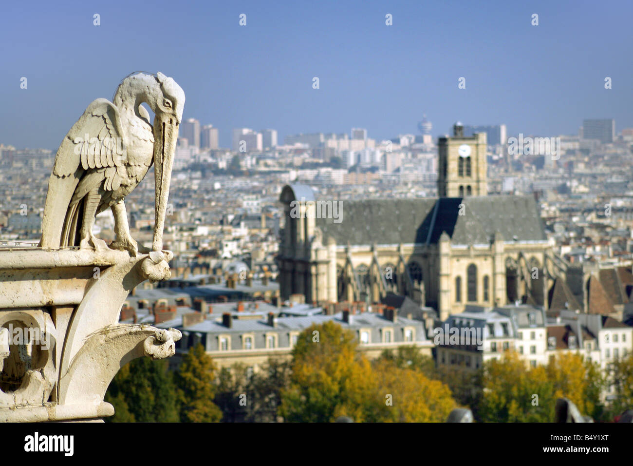 Gargoyle and view from the NotreDame cathedral Stock Photo Alamy