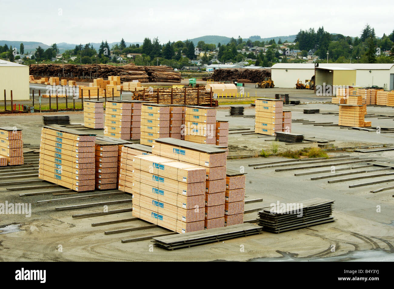 Lumber being processed at a forest products sawmill Stock Photo Alamy