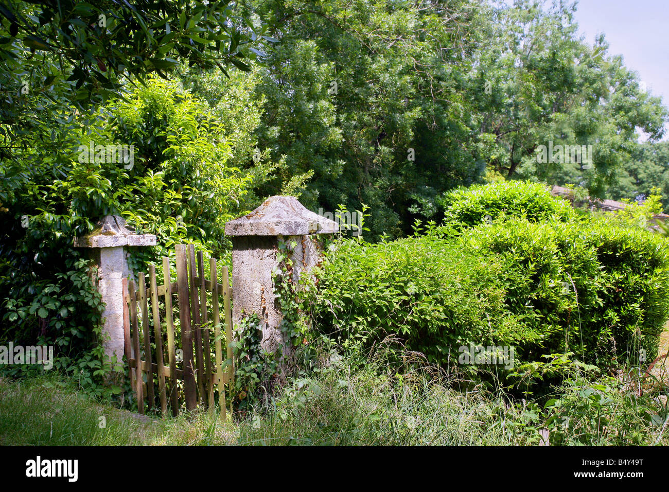 house barrier with greenery Stock Photo Alamy