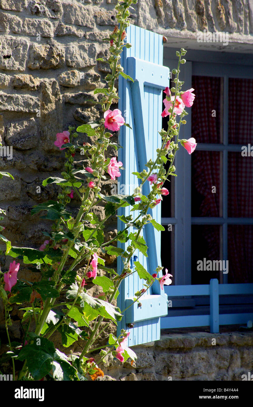 stone house facade with window and wood shutters Stock Photo - Alamy