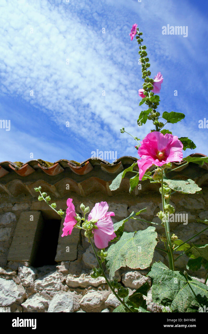 old stone house facade with flowers Stock Photo - Alamy