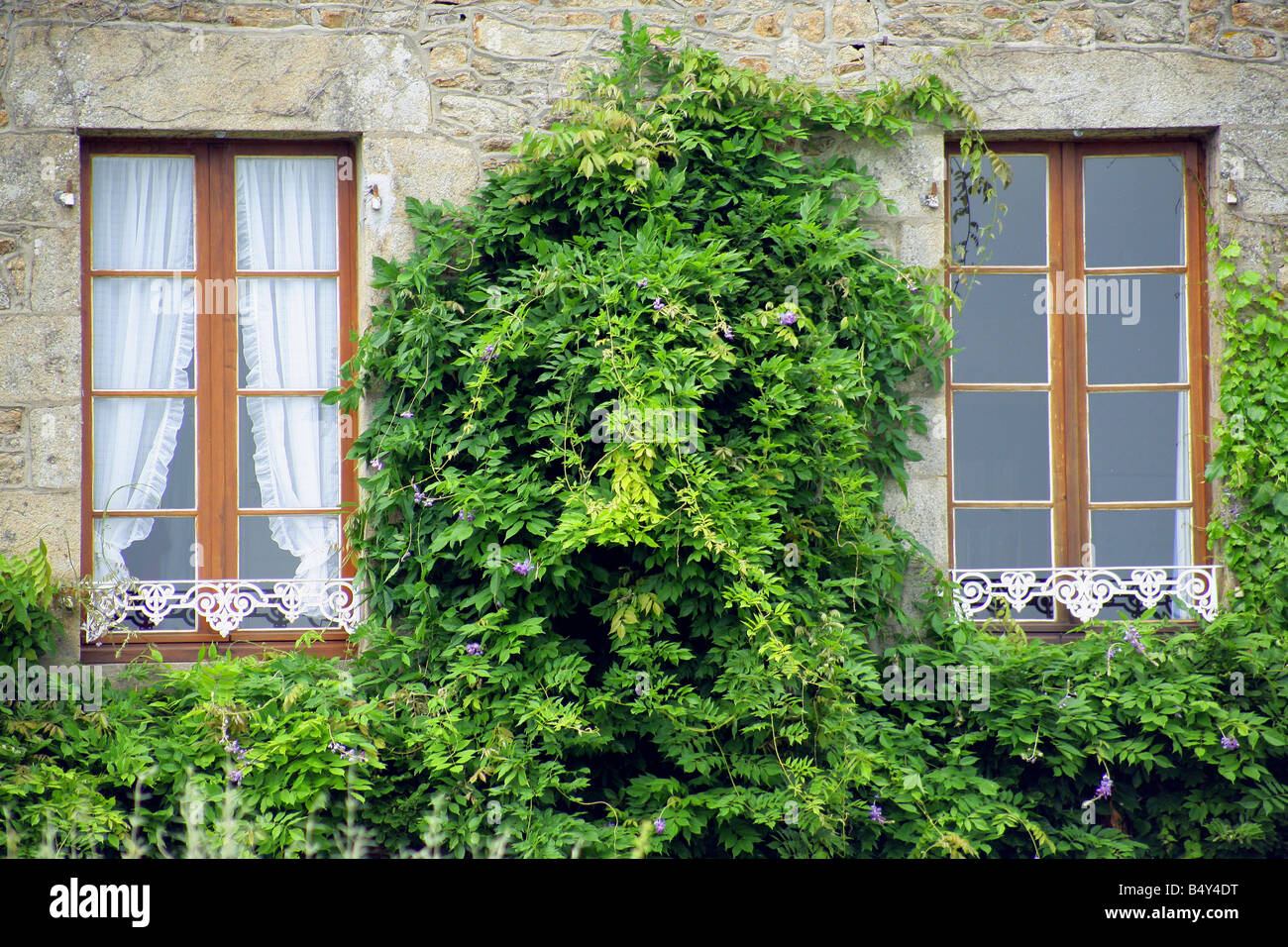 stone house facade with windows and greenery Stock Photo - Alamy
