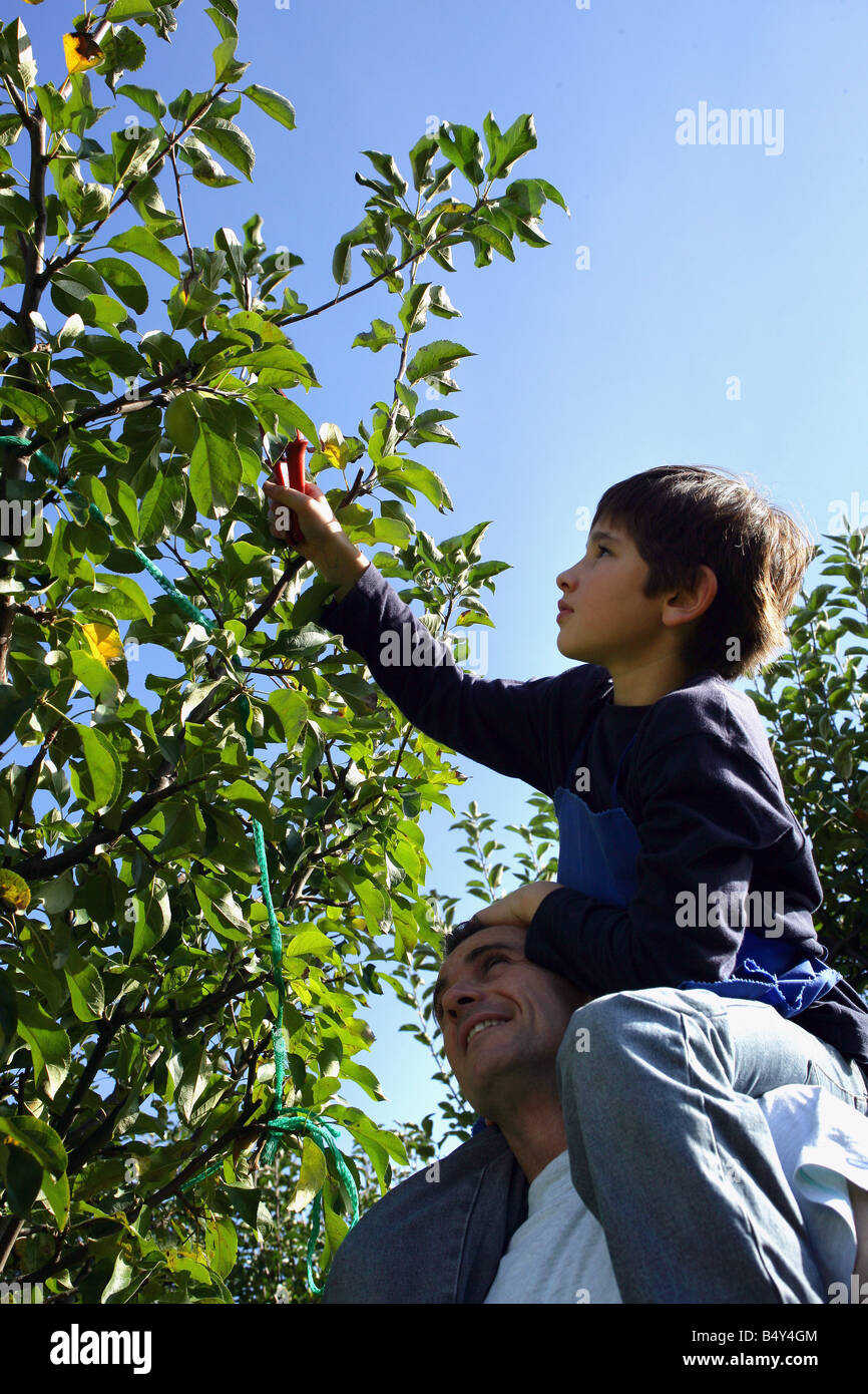 man carrying a child on his shoulders Stock Photo - Alamy