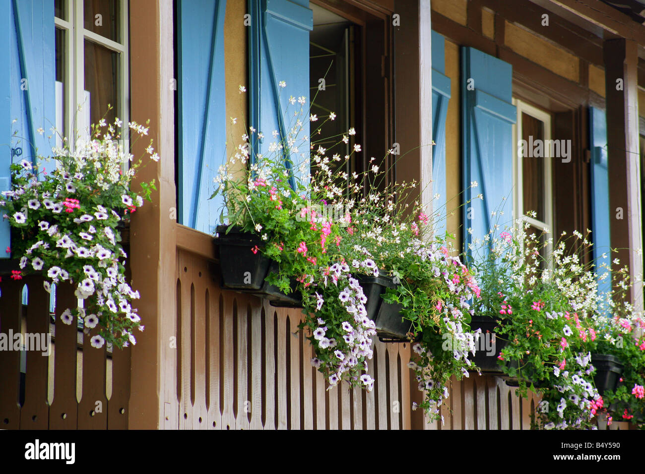 Potted plants on balcony of building Stock Photo Alamy