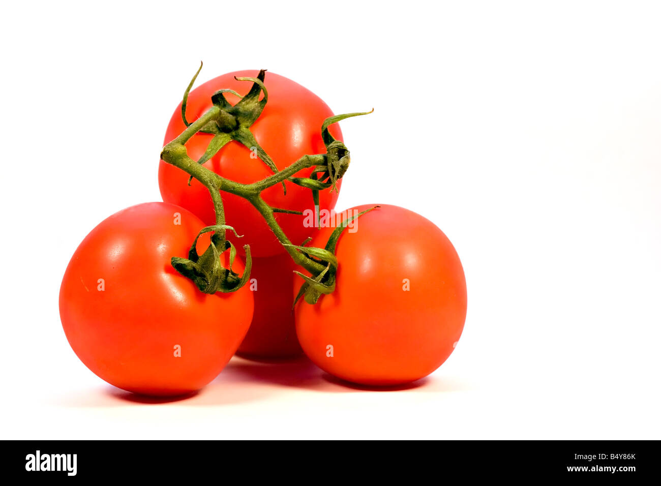Commercial product picture of Tomatoes Stock Photo Alamy