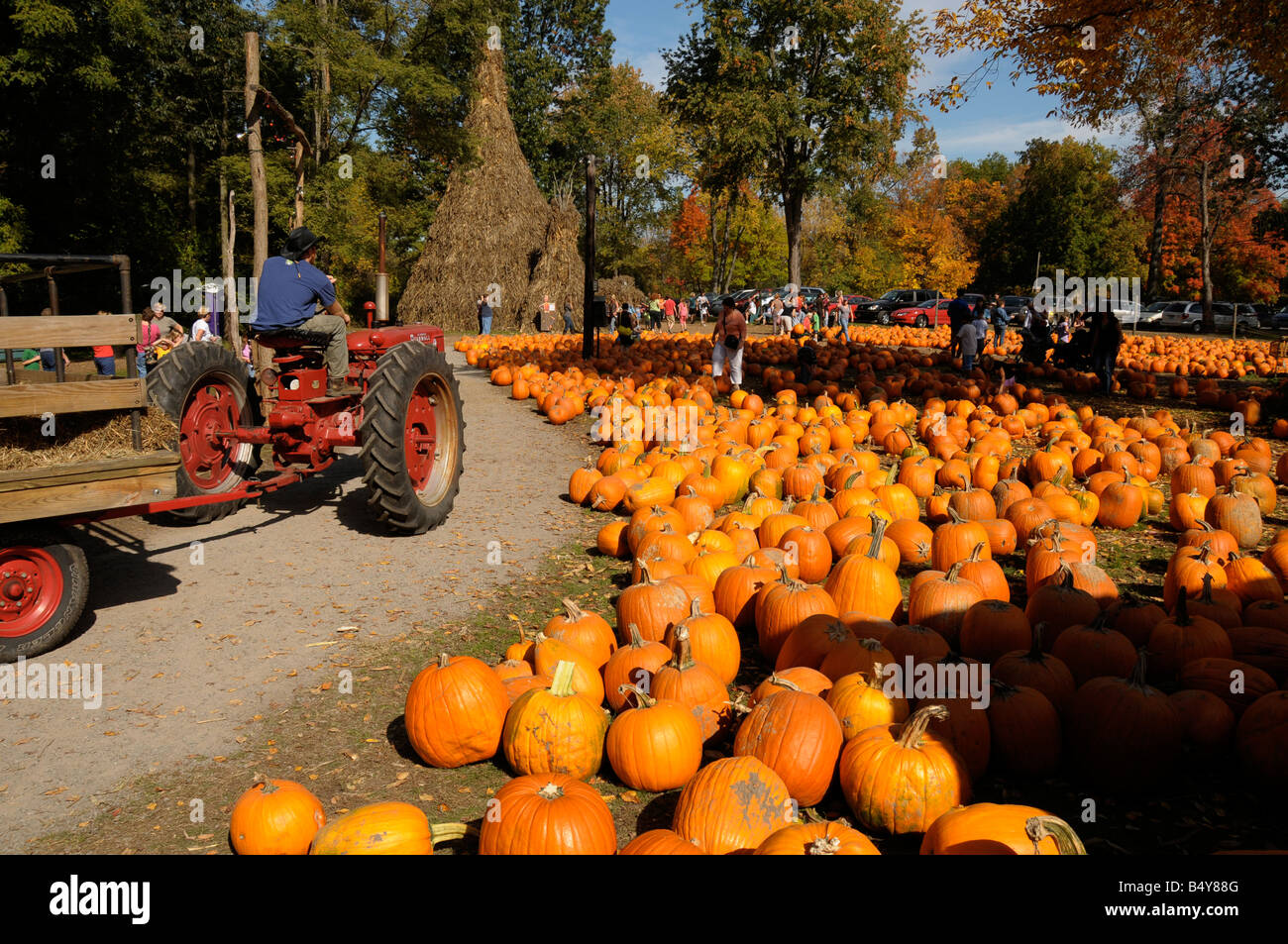 Halloween pumpkin sale at farm market, NY State, USA. tractor hayride Stock Photo