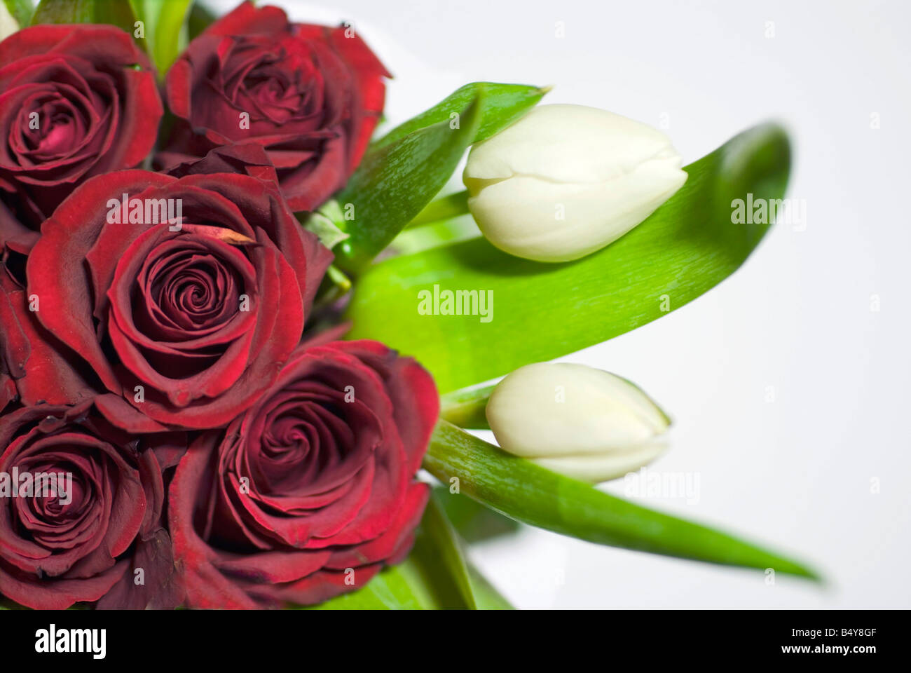 A Medium Bouquet Of Red Roses And White Tulips Isolated On White