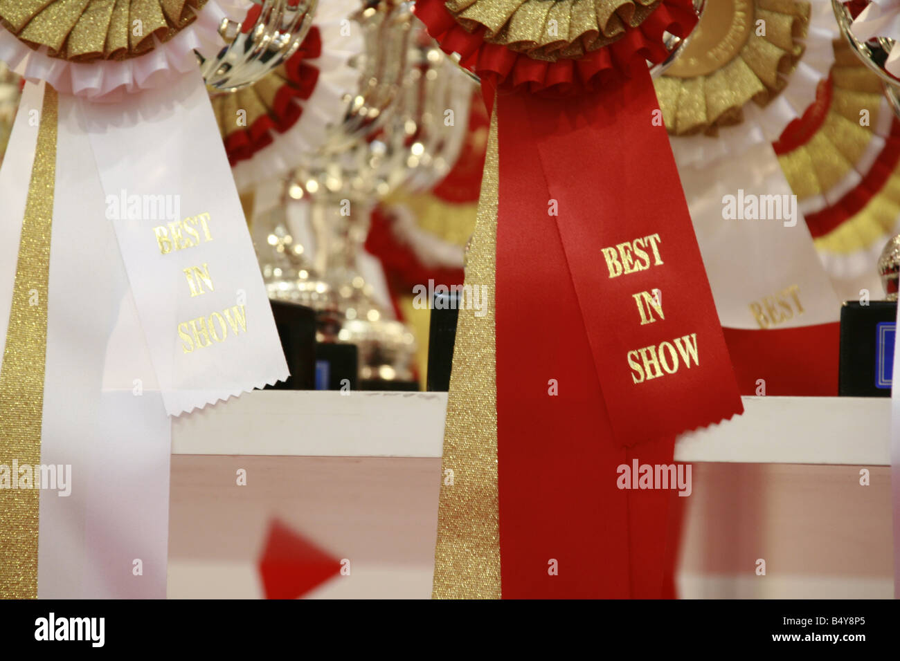 selection of winners rosettes at cat show Stock Photo Alamy