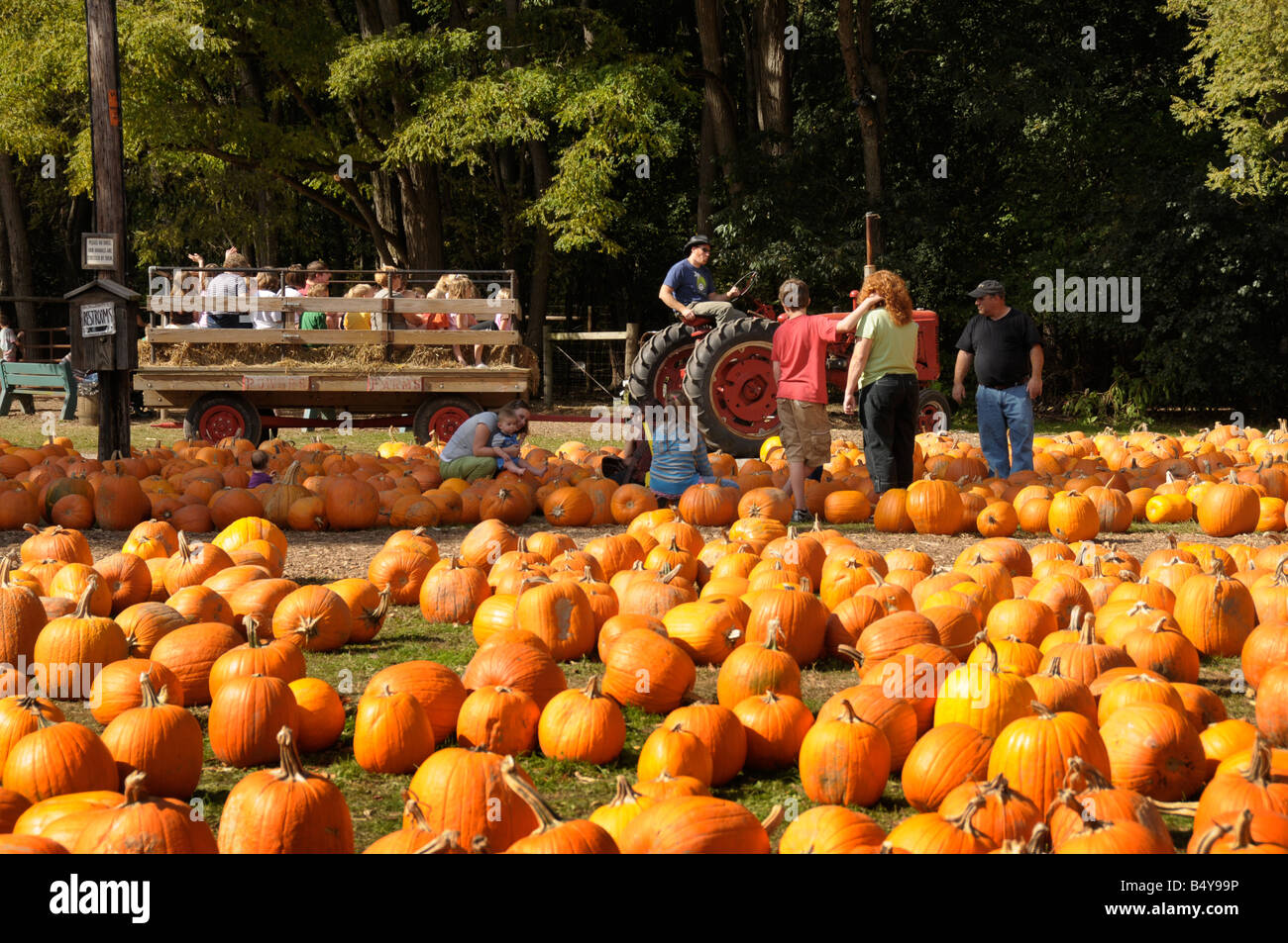 Hayride High Resolution Stock Photography and Images Alamy