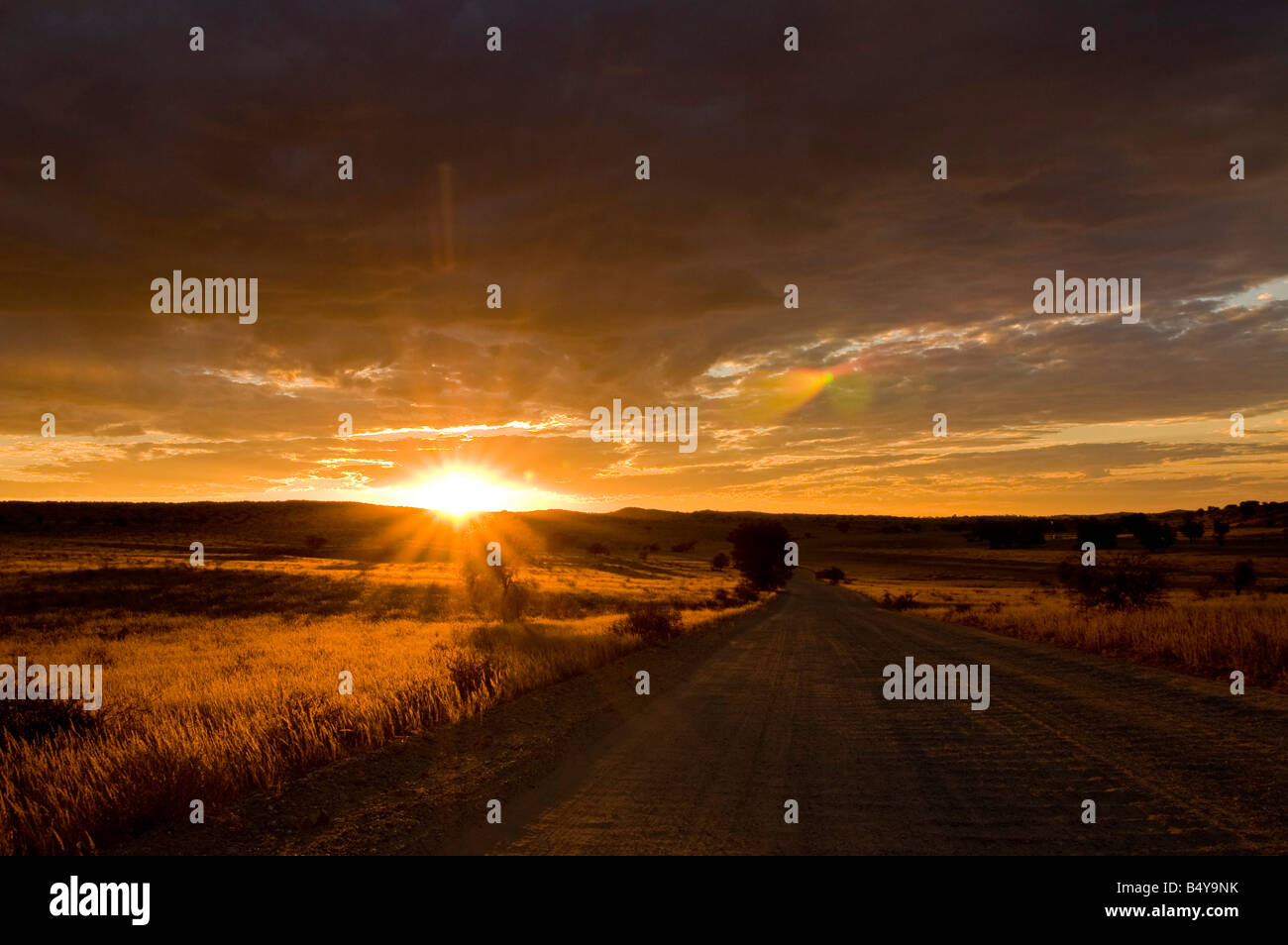 Sunset, Kgalagadi Transfrontier Park, Kalahari, Northern Cape, South Africa Stock Photo
