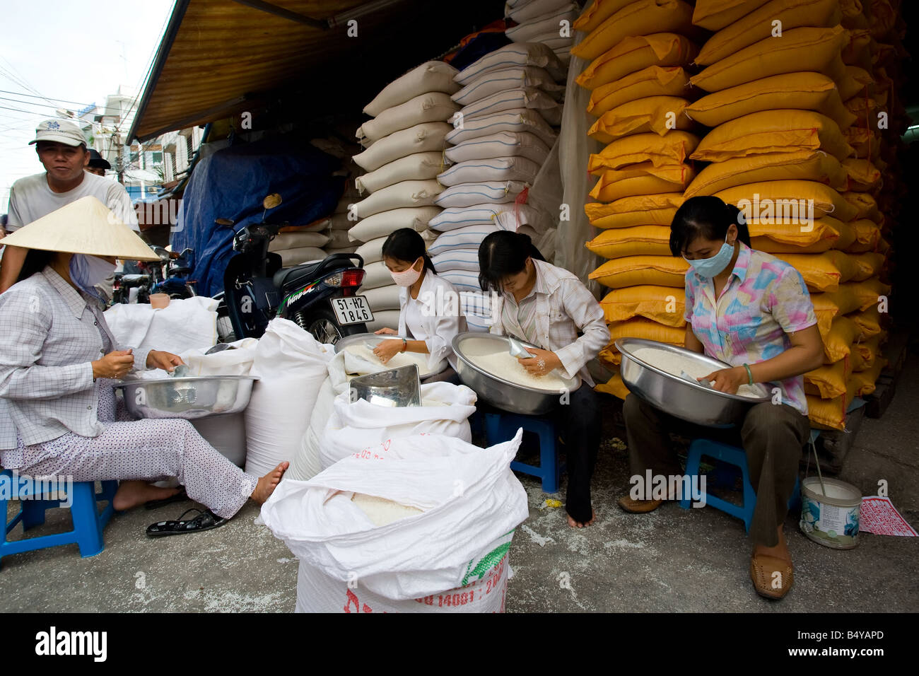 Workers sorting and cleaning rice grains Stock Photo Alamy