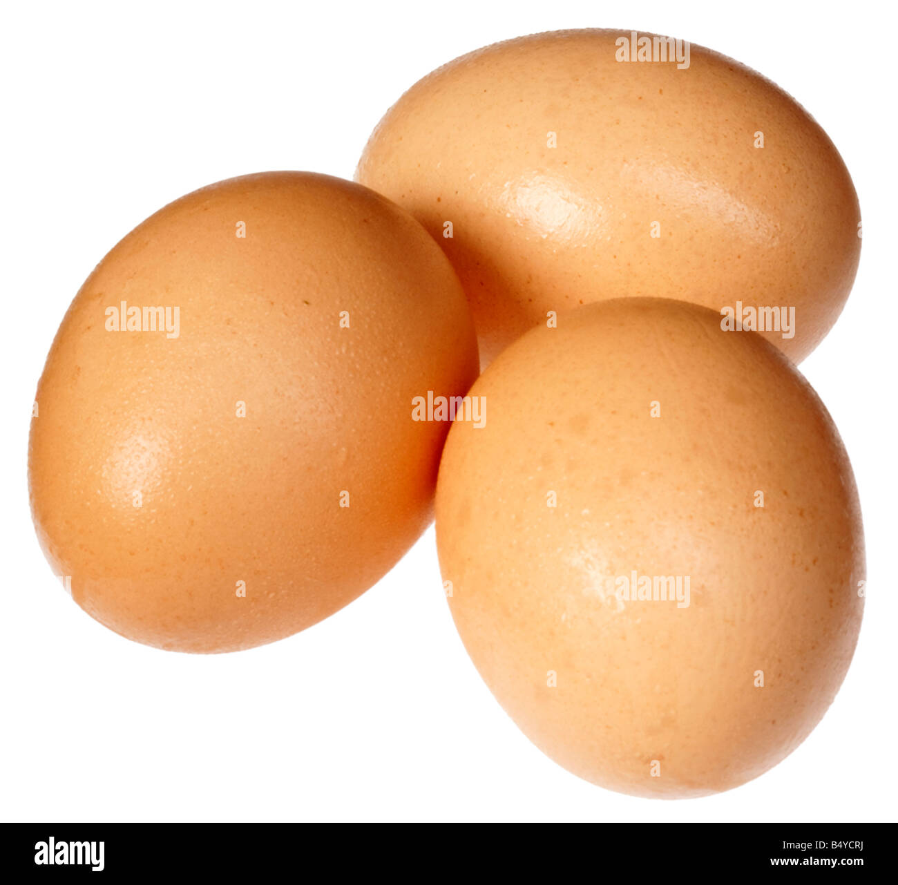 THREE BROWN EGGS CUT OUT Stock Photo Alamy