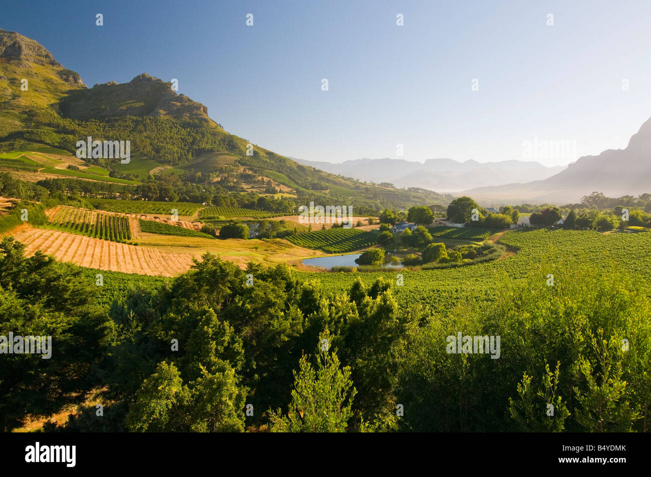 Landscape, Stellenbosch, Western Cape, South Africa Stock Photo