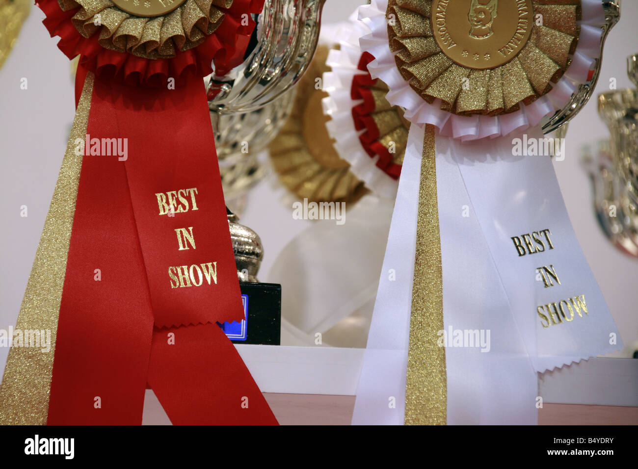 selection of winners rosettes at cat show Stock Photo Alamy