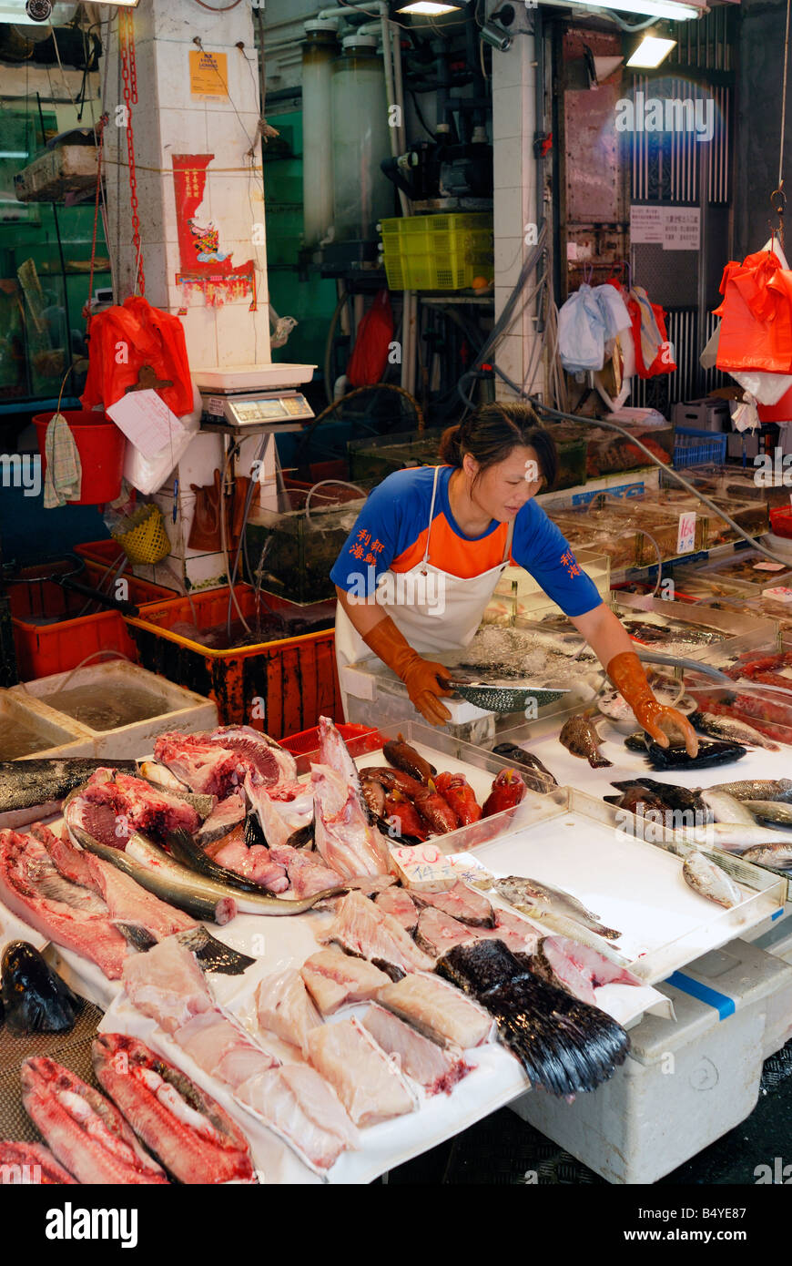 Wanchai Fish Market, Hong Kong Stock Photo - Alamy