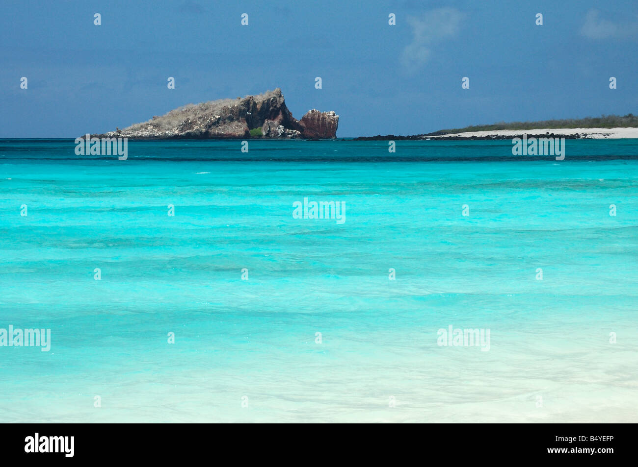 Hood Island Galapagos Islands Ecuador South America Stock Photo Alamy
