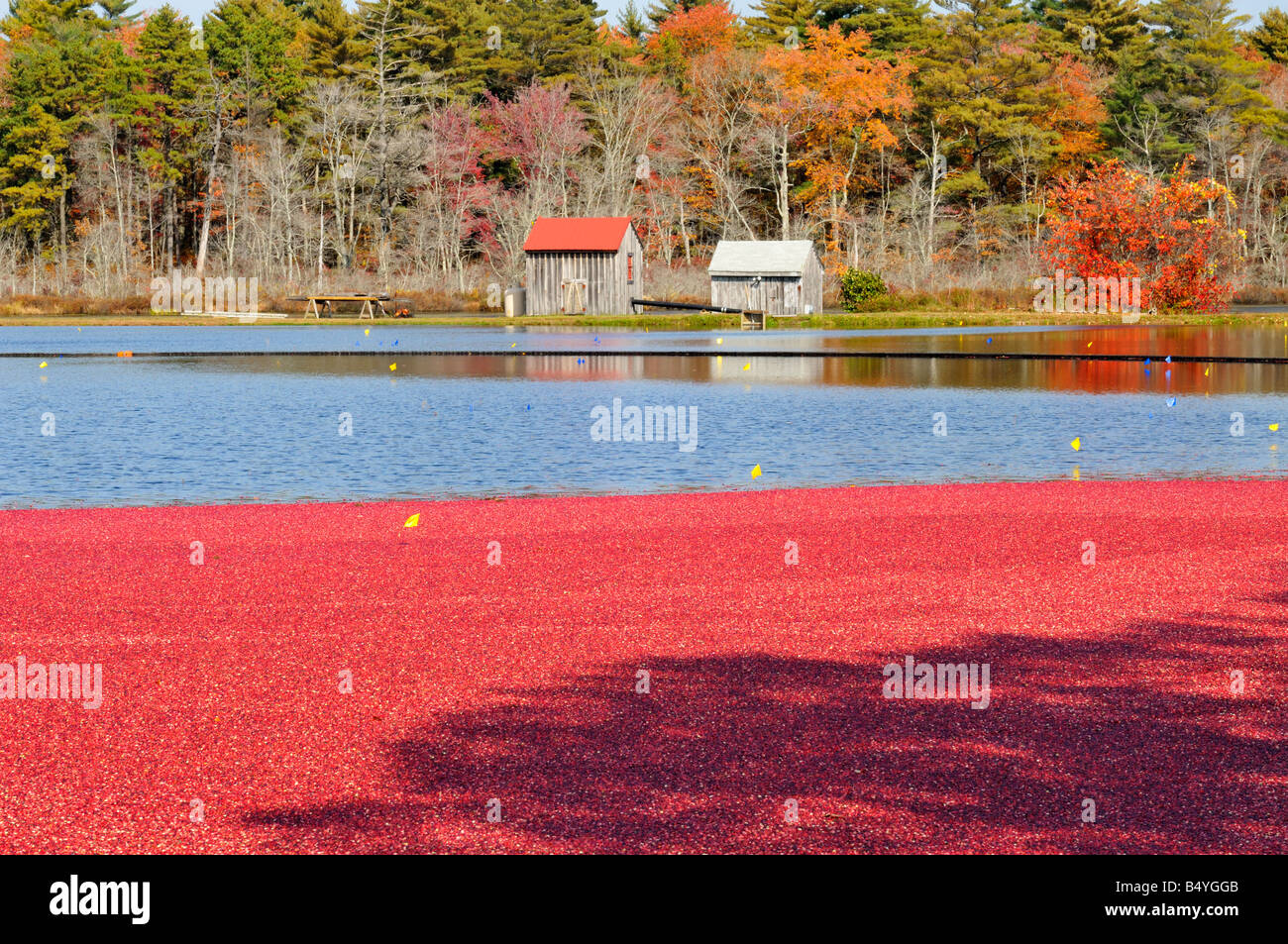 Buildings and crops on farm u s hires stock photography and images Alamy