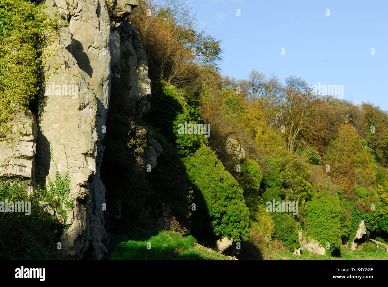 Creswell Crags Stock Photo Alamy