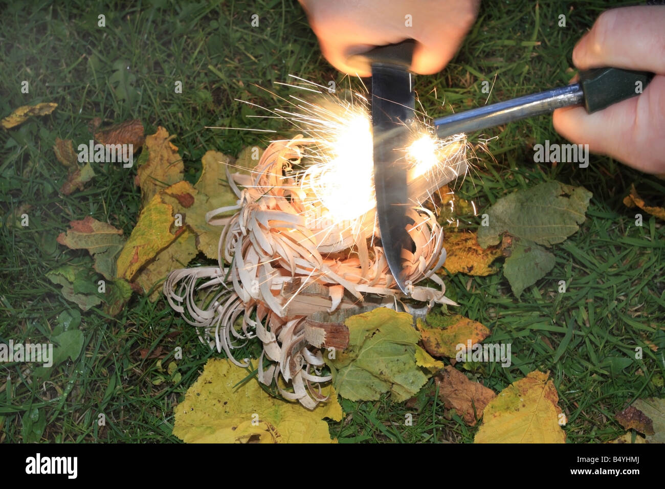 Using a Fire Steel to Ignite Feather Sticks to Create Fire Stock Photo