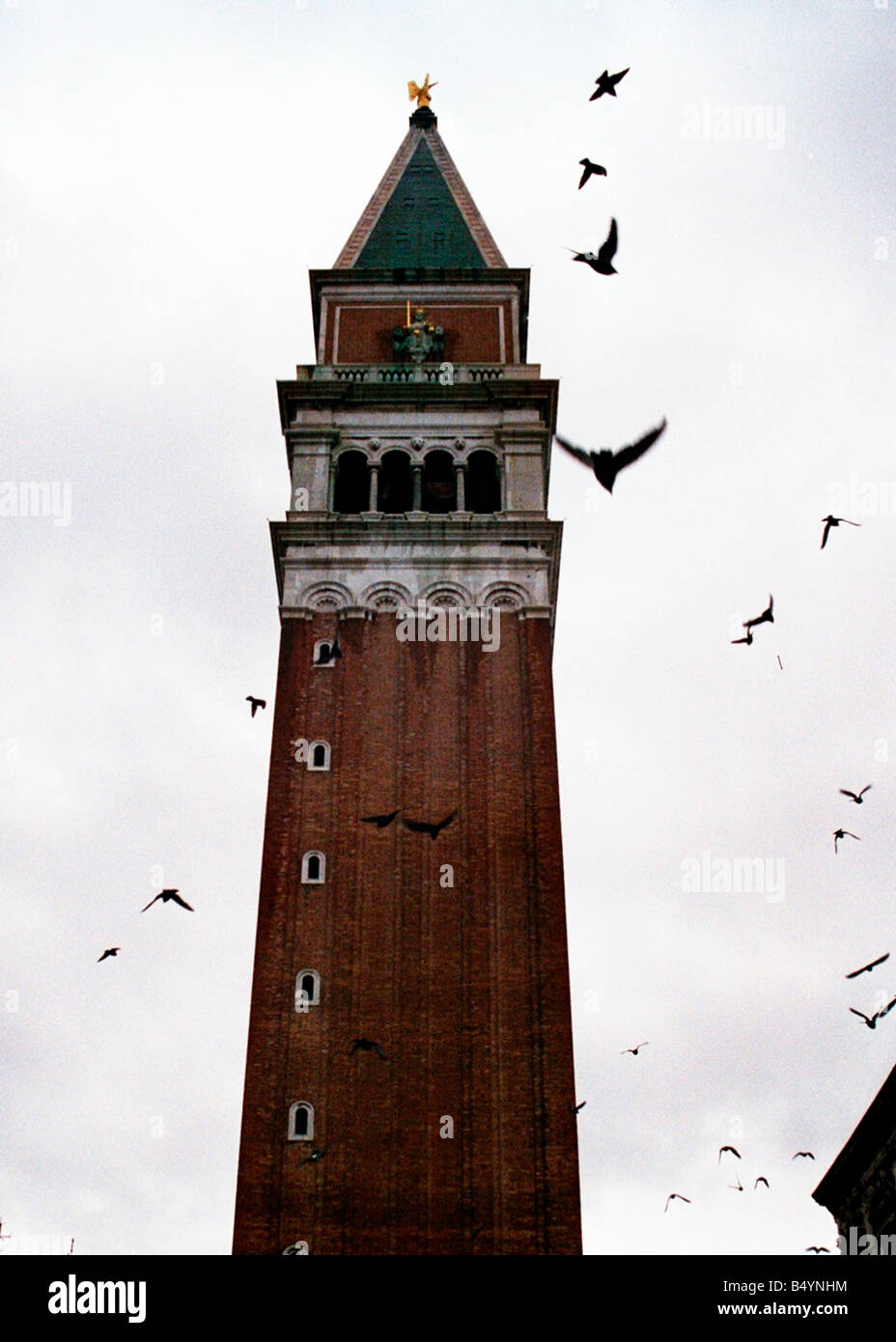 TORRE LADRILLOS VENECIA EUROPA HISTORICO PALOMAS VIEJO RASCACIELOS CAMPANA NUBLADO ESTRUCTURA ARQUITECTURA FAMOSO VOLANDO CAMPANARIO PAJAROS ALTO WOW Stock Photo