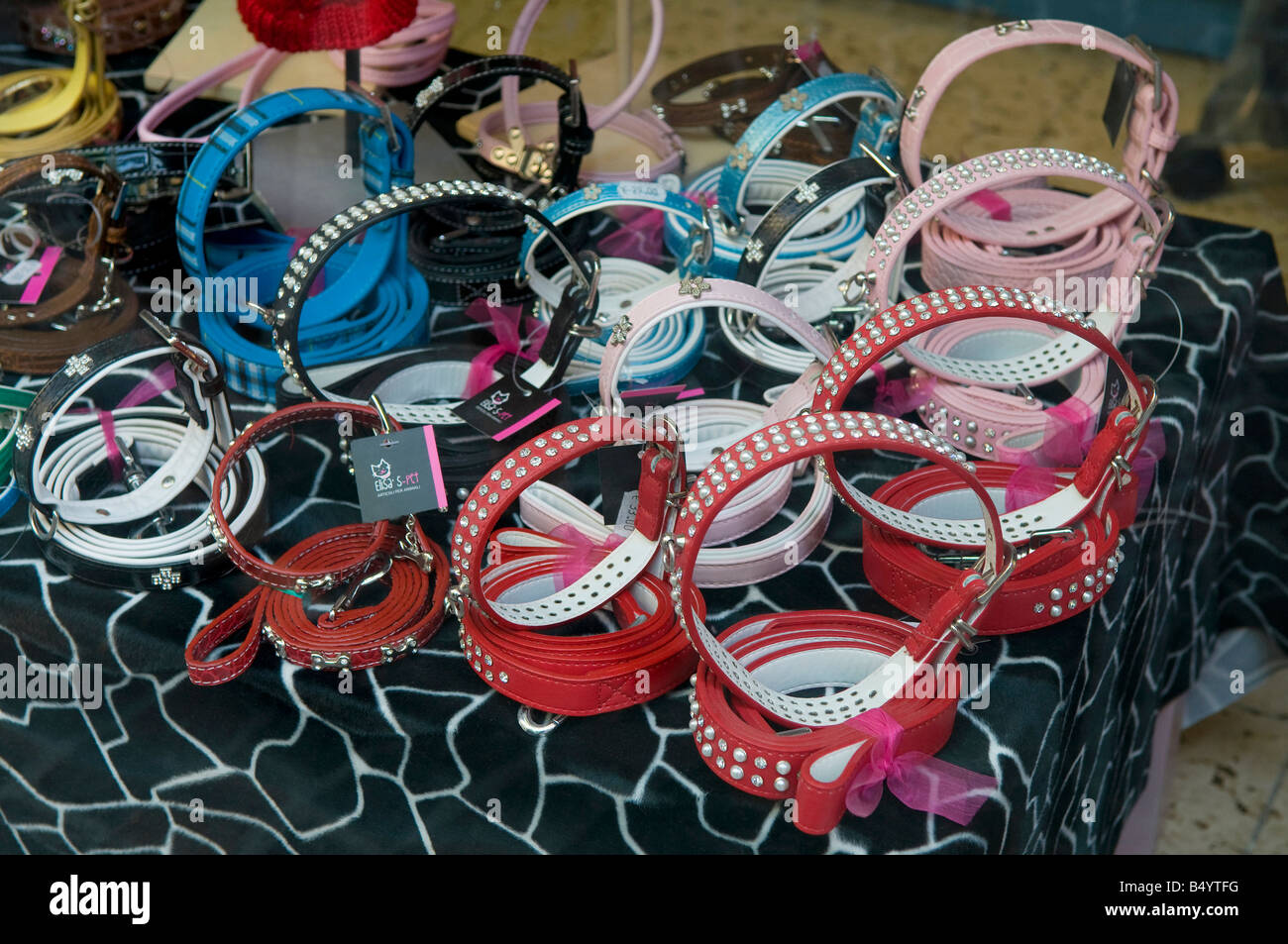 boutique dog collars