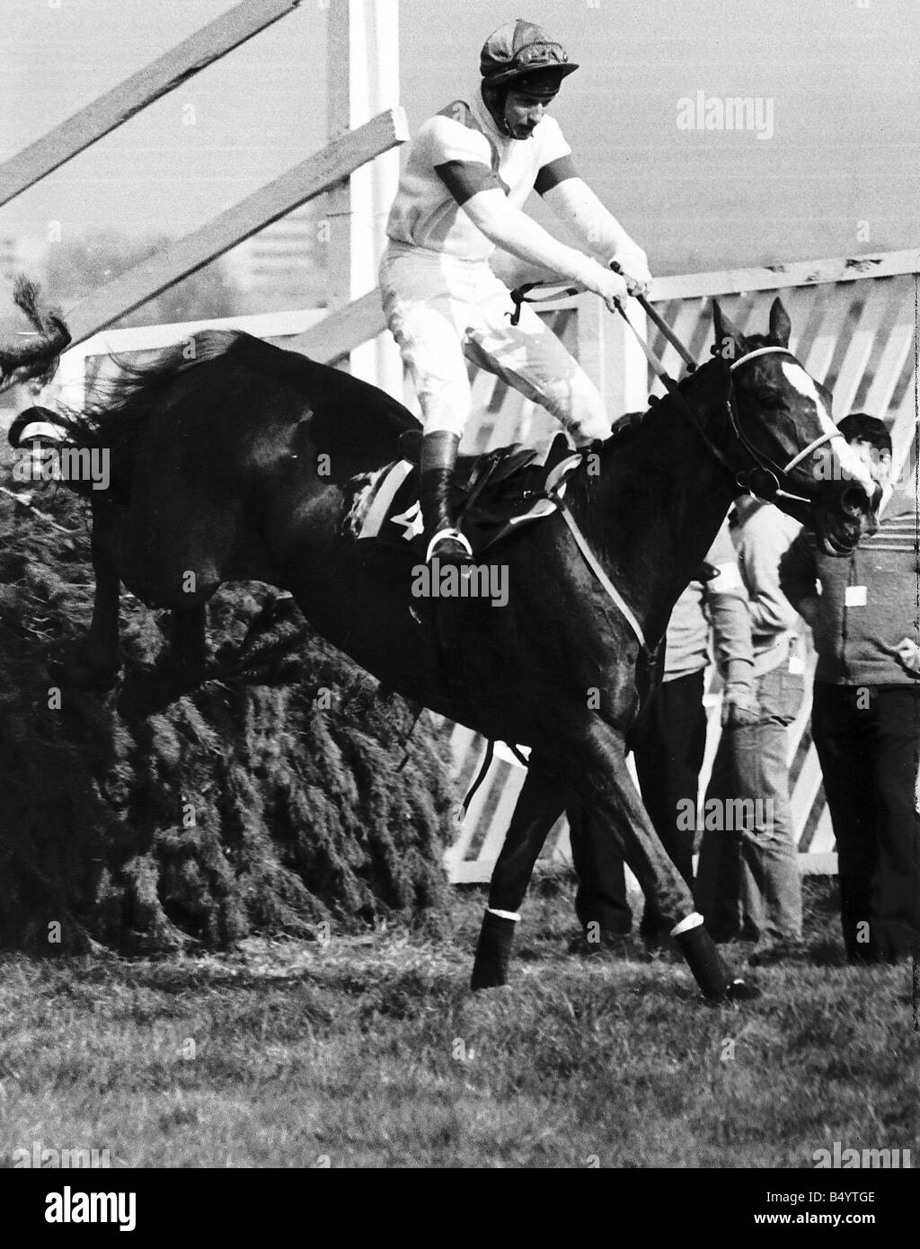 No46 Aldaniti with Bob Champion jumps the last fence to win the 1981 Grand National at Aintree 6th April 1981 Owners Nick Embiricos Althea Gifford Trainer Josh Gifford Jockey Bob Champion Record jumps 8 wins from 26 starts Career highlights Won 1981 Whitbread Trial Chase Grand National 2nd 1979 Scottish Grand National 3rd 1977 Hennessy Cognac Gold Cup 1979 Cheltenham Gold Cup Mirrorpix LAFRSSAPR05 0405 Stock Photo