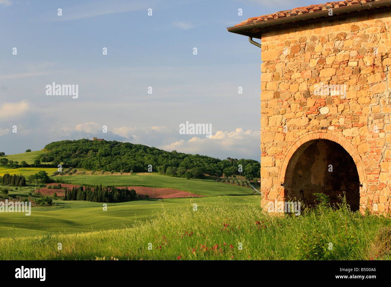 Rural scene in late evening light, Pienza, Tuscany, Italy Stock Photo