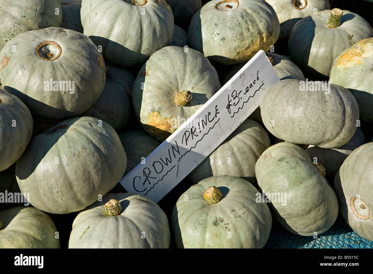 Pile of Crown Prince Pumpkins (Cucurbita maxima) on sale at outdoor market in West Sussex Stock Photo