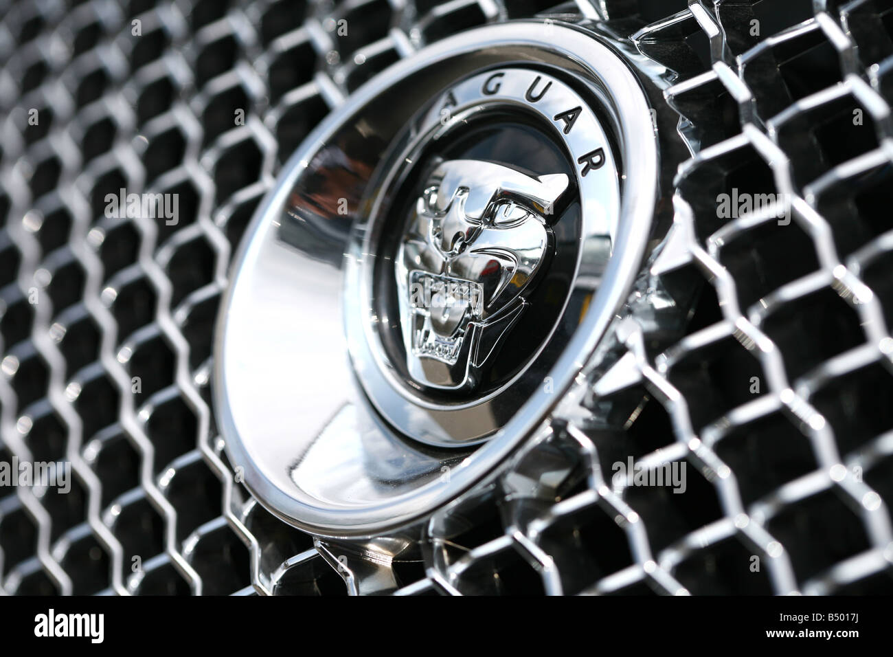 Front grill badge on a jaguar Stock Photo - Alamy