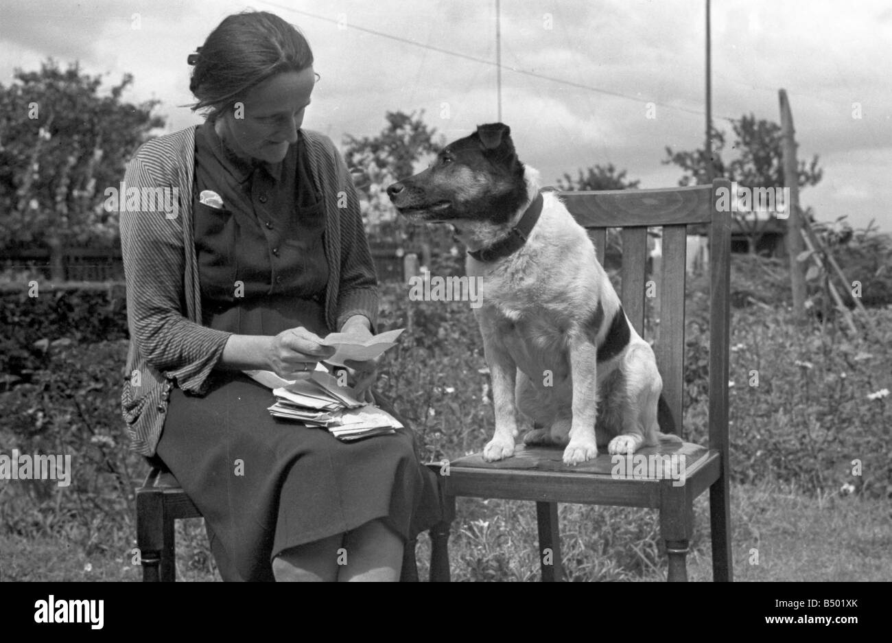 Talking ben the dog Black and White Stock Photos & Images - Alamy