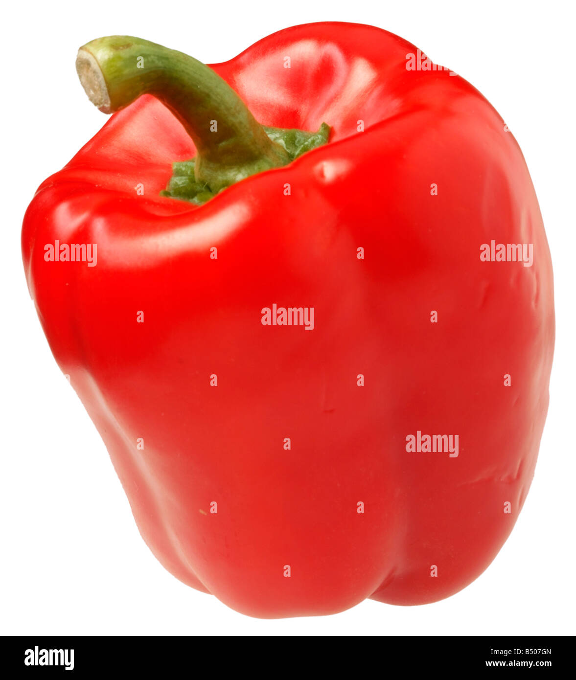 SINGLE RED BELL PEPPER CUT OUT Stock Photo