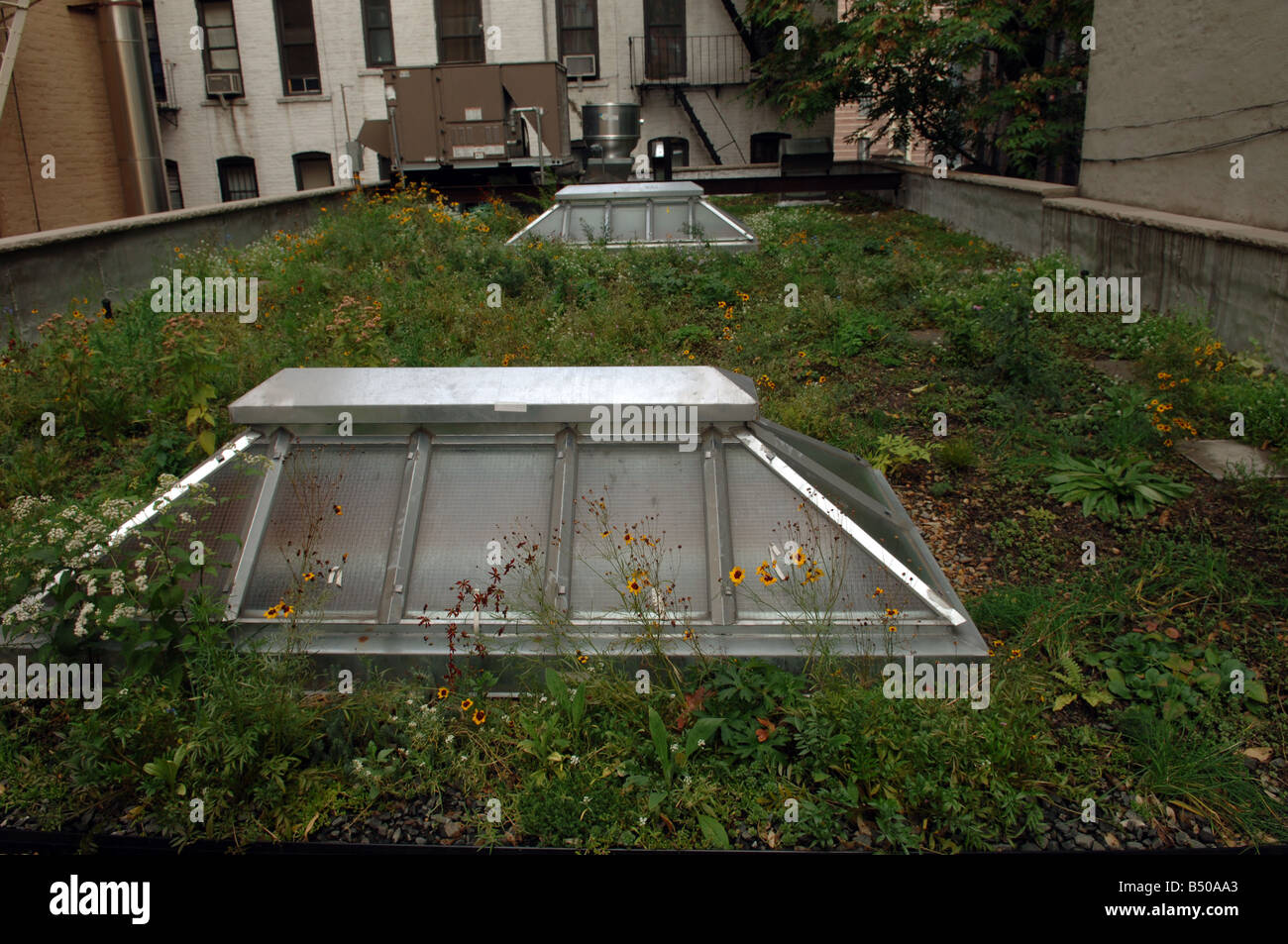 The green roof of the Wild Project theater in the East Village neighborhood of New York Stock Photo