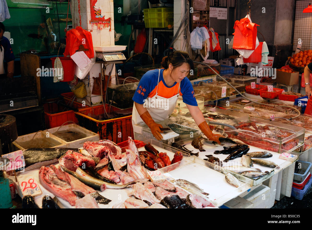 Wanchai Fish Market, Hong Kong Stock Photo Alamy