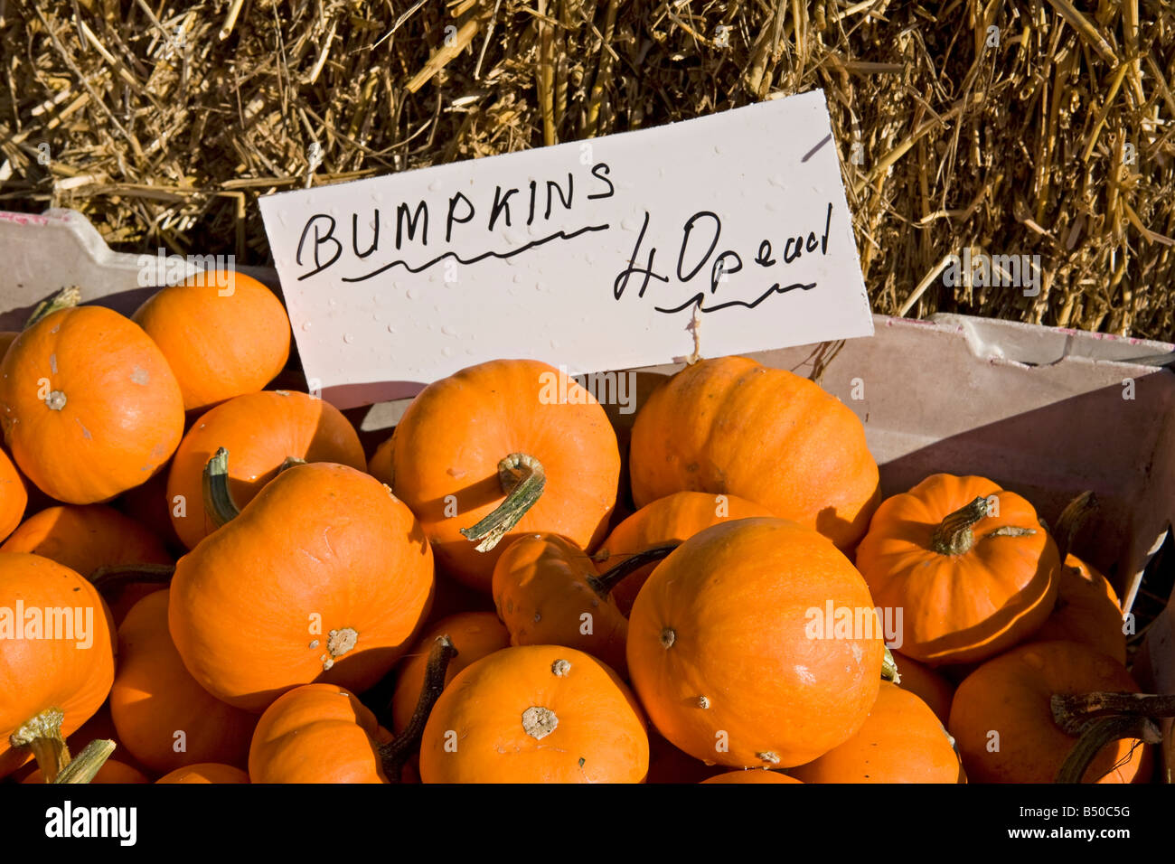 Pile of Bumpkins for sale at UK outdoor market Stock Photo - Alamy