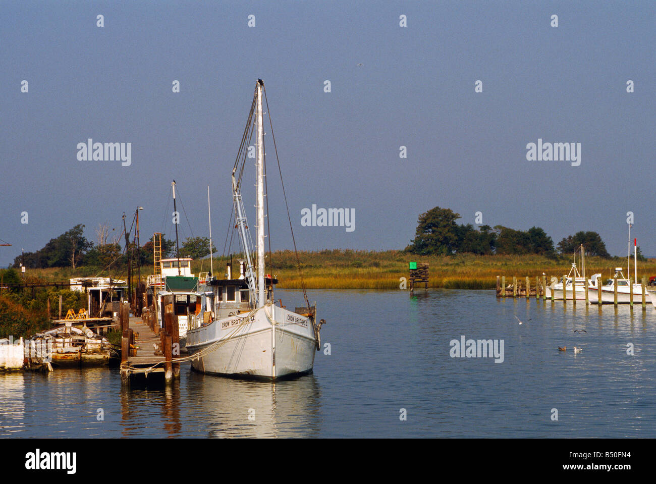 Fishing boat boats docked at Knapps Narrows, Tilghman Island Maryland